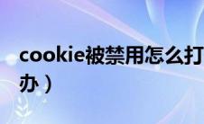 cookie被禁用怎么打开（cookie被禁用怎么办）