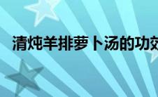 清炖羊排萝卜汤的功效（清炖羊排萝卜汤）