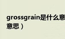 grossgrain是什么意思（Grains英文是什么意思）