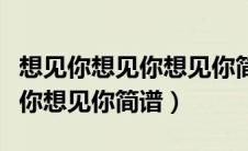 想见你想见你想见你简谱完整版（想见你想见你想见你简谱）