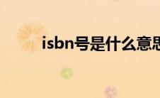 isbn号是什么意思中文（isbn号）