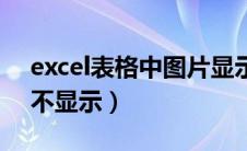 excel表格中图片显示不出（excel表格图片不显示）