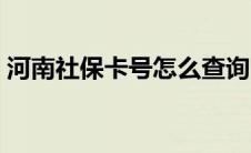 河南社保卡号怎么查询（社保卡号怎么查询）