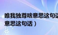 唯我独尊啥意思这句话怎么理解（唯我独尊啥意思这句话）