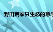 野田荒冢只生愁的意思（野田荒冢只生愁）