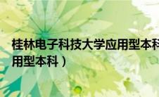 桂林电子科技大学应用型本科读几年（桂林电子科技大学应用型本科）