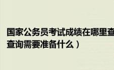 国家公务员考试成绩在哪里查询（2020国家公务员考试成绩查询需要准备什么）