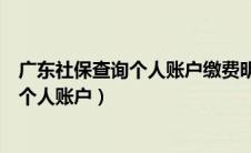 广东社保查询个人账户缴费明细查询粤省事（广东社保查询个人账户）