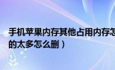 手机苹果内存其他占用内存怎么删除（苹果手机内存其他占的太多怎么删）