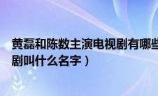 黄磊和陈数主演电视剧有哪些（黄磊和陈数主演的那部电视剧叫什么名字）