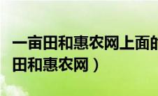 一亩田和惠农网上面的货是不是差一点（一亩田和惠农网）