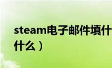 steam电子邮件填什么（steam电子邮箱是什么）