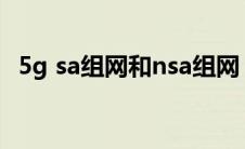 5g sa组网和nsa组网（sa和nsa组网方式）