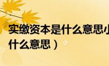 实缴资本是什么意思小规模企业（实缴资本是什么意思）