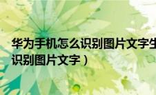 华为手机怎么识别图片文字生成文字快捷键（华为手机怎么识别图片文字）