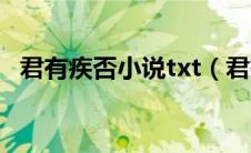 君有疾否小说txt（君有疾否txt全文下载）