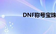 DNF称号宝珠（称号宝珠）