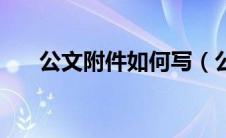 公文附件如何写（公文附件格式范文）