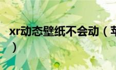 xr动态壁纸不会动（苹果xr动态壁纸怎么不动）