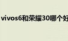 vivos6和荣耀30哪个好（vivos6和荣耀30s）