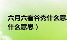 六月六看谷秀什么意思10字（六月六看谷秀什么意思）