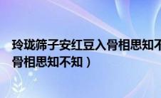 玲珑筛子安红豆入骨相思知不知相似的（玲珑筛子安红豆入骨相思知不知）