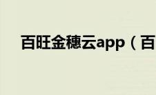 百旺金穗云app（百旺金穗云开票登录）