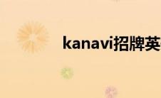 kanavi招牌英雄（kanavi）