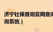 济宁社保查询官网查询系统（济宁社保网上查询系统）