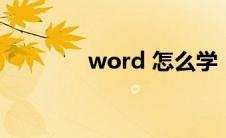 word 怎么学（word学习）