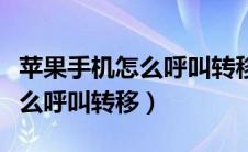 苹果手机怎么呼叫转移一个号码（苹果手机怎么呼叫转移）