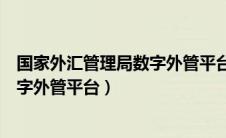 国家外汇管理局数字外管平台用户代码（国家外汇管理局数字外管平台）