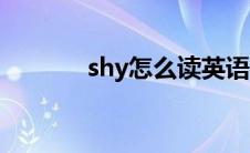 shy怎么读英语（shy怎么读）