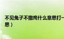 不见兔子不撒鹰什么意思打一生肖（不见兔子不撒鹰什么意思）