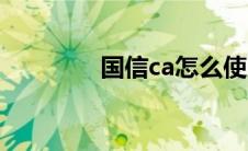 国信ca怎么使用（国信ca）