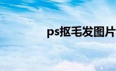 ps抠毛发图片（ps抠毛发）