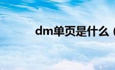 dm单页是什么（dm单页尺寸）