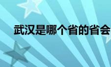 武汉是哪个省的省会（武汉是哪个省的）