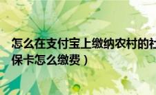 怎么在支付宝上缴纳农村的社保卡（支付宝上怎么交农村社保卡怎么缴费）