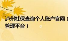 泸州社保查询个人账户官网（泸州市社会保险统一征收信息管理平台）