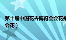 第十届中国花卉博览会会花是什么（第十届中国花卉博览会会花）