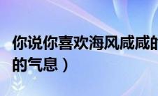 你说你喜欢海风咸咸的气息（你喜欢海风咸咸的气息）