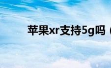 苹果xr支持5g吗（苹果支持5g吗）