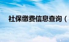 社保缴费信息查询（社保缴费查询系统）