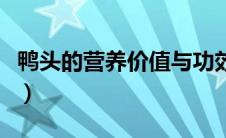 鸭头的营养价值与功效视频（鸭头的营养价值）