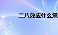 二八效应什么意思（二八效应）