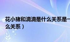 花小猪和滴滴是什么关系是一个平台吗（花小猪和滴滴是什么关系）