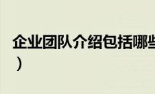 企业团队介绍包括哪些（企业团队介绍怎么写）