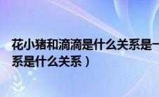 花小猪和滴滴是什么关系是一个平台吗（花小猪和滴滴的关系是什么关系）