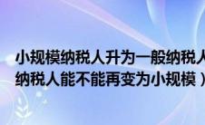 小规模纳税人升为一般纳税人有什么好处（小规模升为一般纳税人能不能再变为小规模）